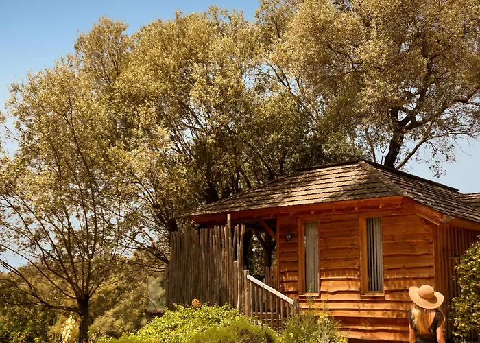 Hôtel-boutique: L'Hostellerie du Moulin des Oliviers